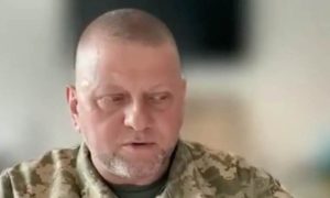 Трепанация черепа и другие травмы: стало известно, куда пропал  главком ВСУ Залужный