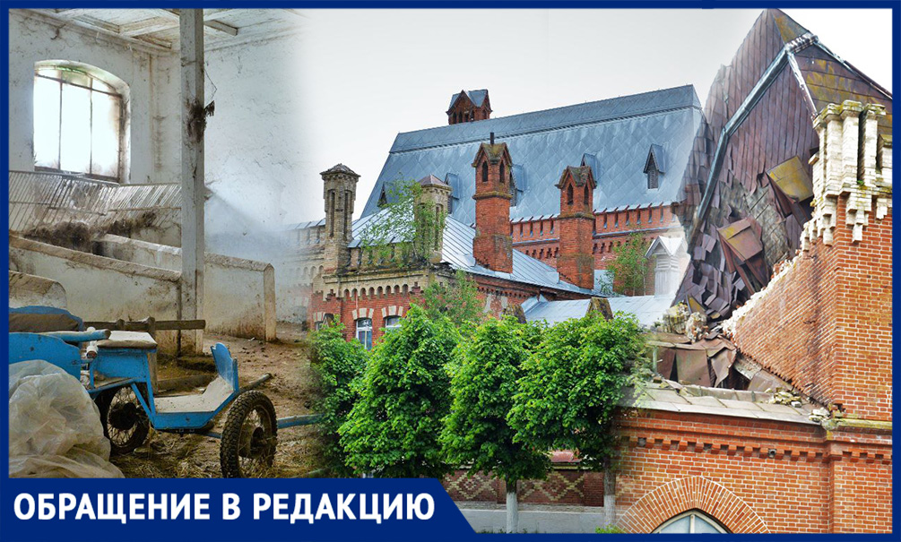 На грани исчезновения уникальные лошади русской верховой породы в России и мире На грани исчезновения уникальные лошади русской верховой породы в России и мире