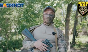 Не писать письма, а пополнить ряды: доброволец призвал мужчин на диванах отправиться на СВО