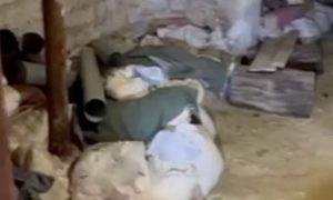 Вонь, грязь, капает: украинцы показали бомбоубежище, построенное на западные деньги