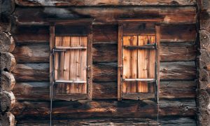 Украина вымрет: в Польше спрогнозировали демографическую трагедию