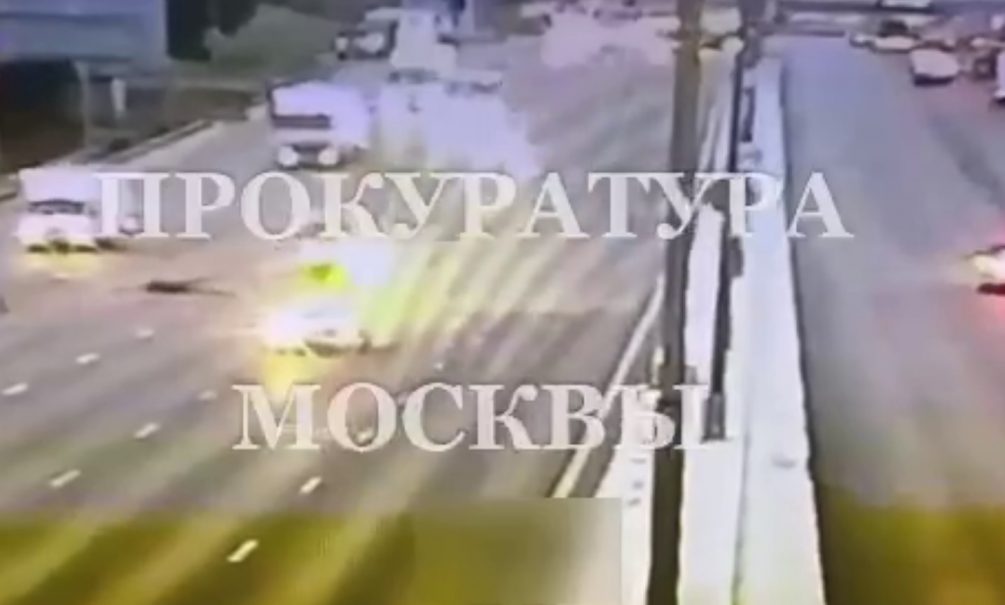 Видео: в Москве водитель выбил страйк из перебегающих дорогу лосей 