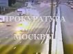 Видео: в Москве водитель выбил страйк из перебегающих дорогу лосей