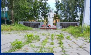 Запущенное состояние мемориала на братской могиле времен Великой Отечественной войны возмутило жителя Воронежа