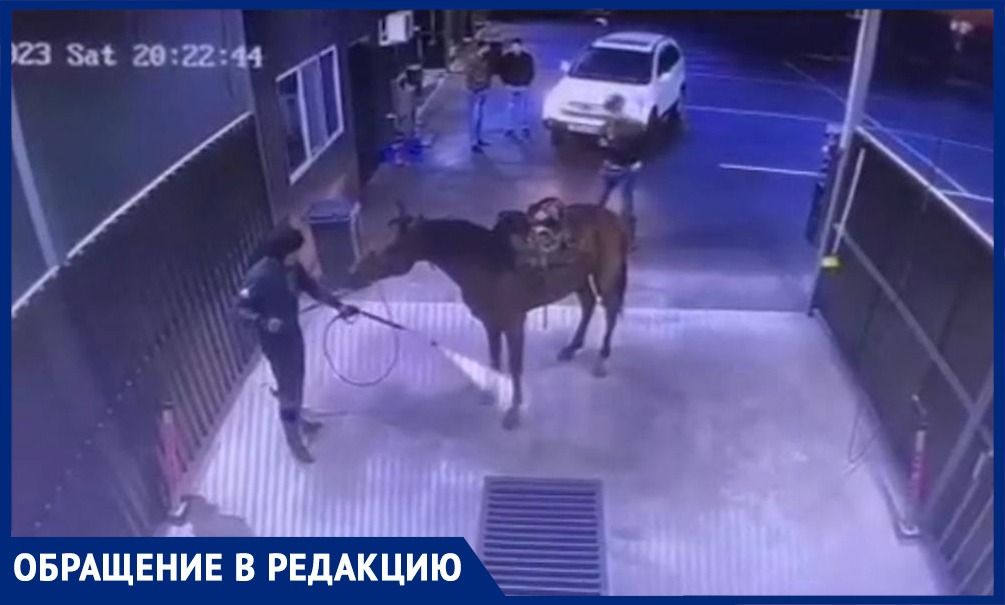 Купание «не железного коня» устроили на автомойке в Казахстане 