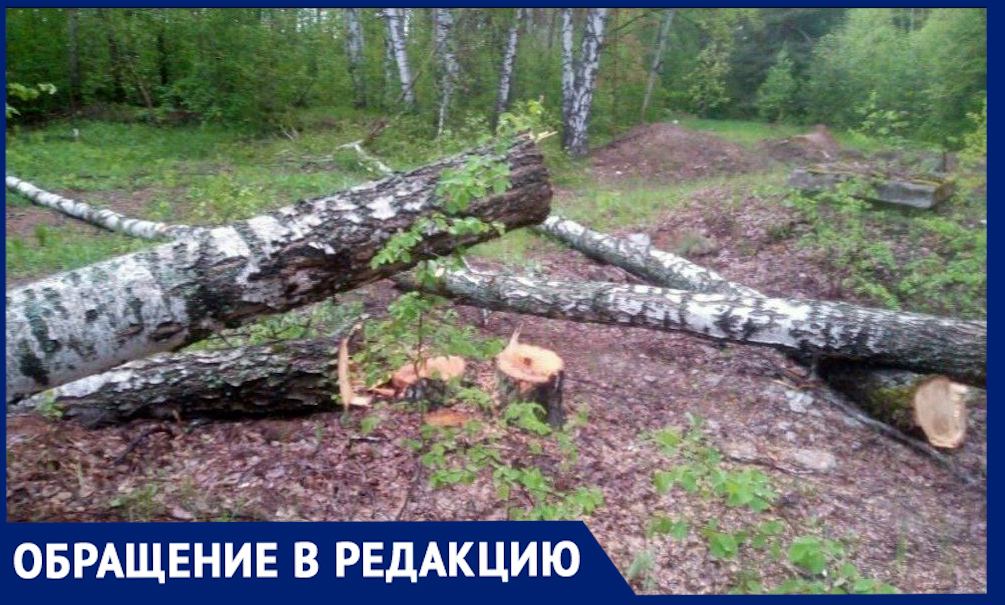 Жители Татарстана опасаются, что вместо векового леса появится  «Воздух» из шести домов 