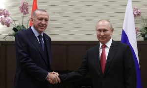 Эрдоган заявил, что Путин согласился на продление зерновой сделки