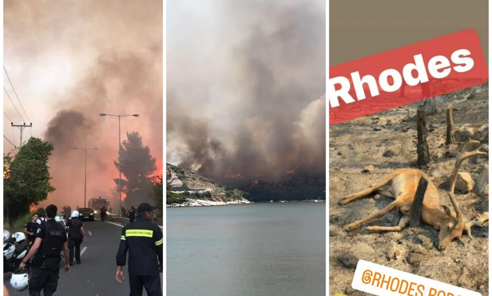 Адское пекло и паника: очевидцы рассказали, как мощный пожар уничтожил половину греческого острова Родос 