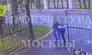 В Москве 13-летний мальчик убил 11-летнего друга и положил труп в колодец