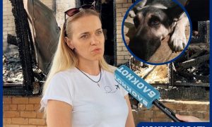 Четвероногий герой: ценою жизни в Волгограде отважный пес спас хозяев при пожаре