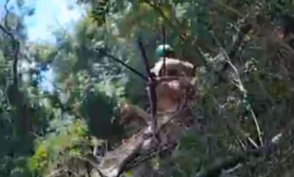 Украинский боевик расстрелял солдата ВСУ за отказ идти в бой под Купянском 