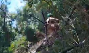 Украинский боевик расстрелял солдата ВСУ за отказ идти в бой под Купянском