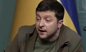 «Ты, Влад, должен позаботиться о Владе»: американский актер призвал Зеленского обратиться к наркологу