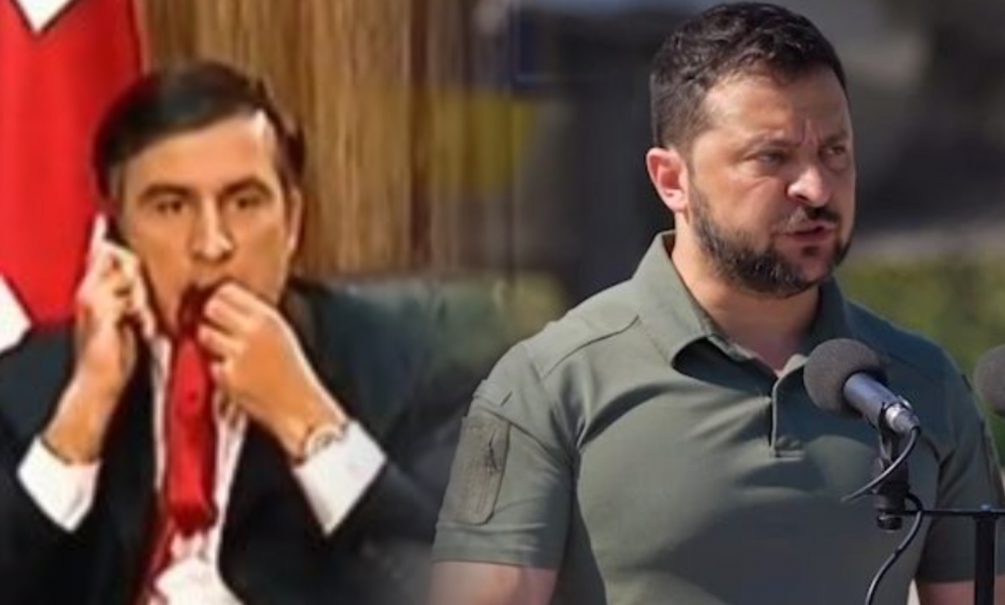 Изгой, заключенный в тюрьму: Володин считает, что Зеленский повторит судьбу Саакашвили 