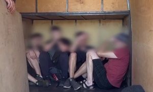 Самый дешевый способ бегства из Украины шокировал пользователей