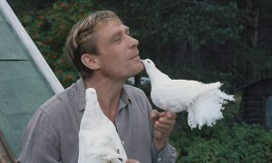 «Любовь и голуби» (12+): почему фильму присвоили низкую категорию и не пускали на кинофестивали
