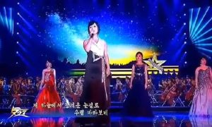 До дрожи: на концерте в Пхеньяне звезды местной эстрады спели на русском песни SHAMANA и Газманова