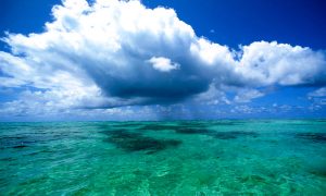 Температура Мирового океана побила новый рекорд