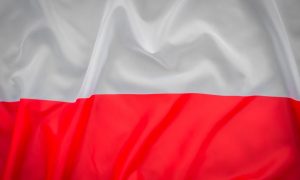 ВС РФ ликвидировали наемников, поднявших польский флаг на позициях ВСУ
