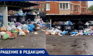 Свинство средь бела дня или горшочек не вари: в Подмосковье контейнерная площадка утонула под горой мусора