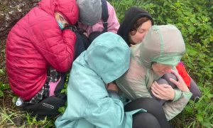 Ледяной шторм, туман и медведи: халатность RESET TRIP едва не стоила жизни туристам на Курилах