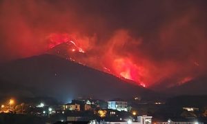 Мощный лесной пожар бушует в Геленджике: огонь охватил 118 гектаров