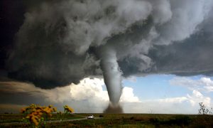 Станут обычным явлением: эксперт предрек увеличение числа торнадо в России