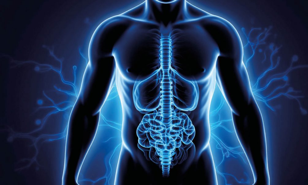 Синдром дырявого кишечника: как понять, что кишечнике есть дыры и кто это будет лечить Синдром дырявого кишечника: как понять, что кишечнике есть дыры и кто это будет лечить