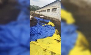 Запущенный украинскими боевиками флаг на воздушных шарах приземлился в свинарнике