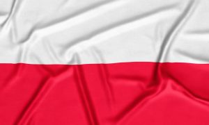 Польские пограничники заставили беженца перетащить труп друга в Беларусь