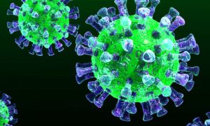 Вирусолог рассказал об опасности нового штамма коронавируса «Пирола»
