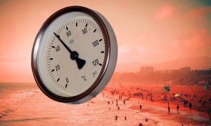 Метеорологи: в центральную Россию придет субтропическая жара