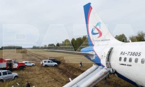 Стало известно, кто посадил самолет А320 в поле под Новосибирском