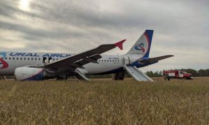 Севший в поле под Новосибирском самолет может взлететь