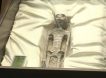 «Мистификация»: Минкульт Перу и учёные опровергли инопланетное происхождение мумий, представленных в Мексике
