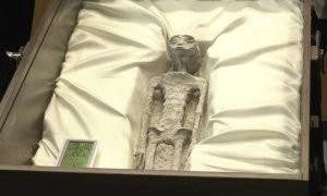 «Мистификация»: Минкульт Перу и учёные опровергли инопланетное происхождение мумий, представленных в Мексике
