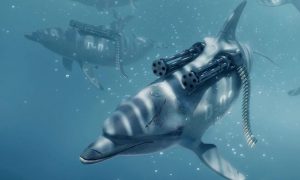 Россия перебросила боевых дельфинов для борьбы с украинским спецназом