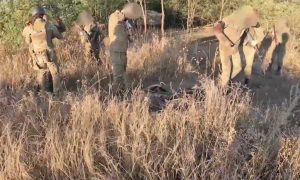 Правильный выбор. В ДНР ВСУшники сдались в плен целым опорным пунктом