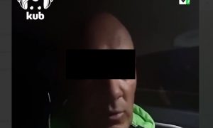 В Краснодарском крае задержан педофил из Санкт-Петербурга