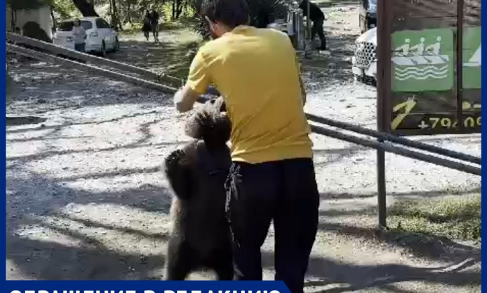 Возможно, мы уже опоздали: волонтеры пытаются спасти медвежонка, над которым издеваются в Абхазии 