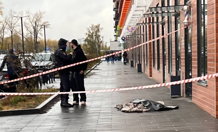 В Москве мать пыталась выбросить 7-летнюю дочь из окна дома 