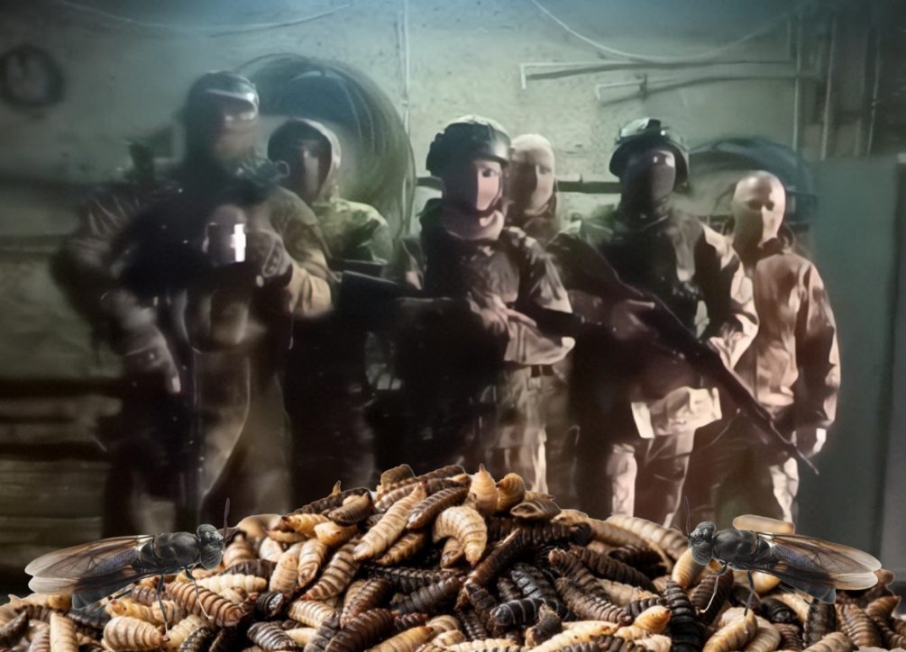 Бойцы в зоне СВО потребовали у депутатов Госдумы не допустить использования опарышей мух в продуктах