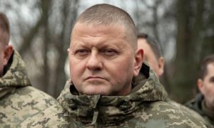 Главком ВСУ Залужный: военный конфликт на Украине зашел в тупик