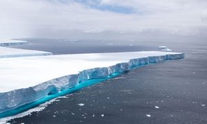 Крупнейший айсберг Земли размером с два Петербурга вскоре может растаять