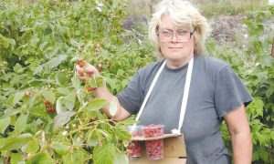 Тепличный бизнес в Луганске организовала семья Ковальчук, чтобы не жить на мизерную пенсию