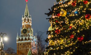 В России выбрали главную новогоднюю елку, которую установят в Кремле