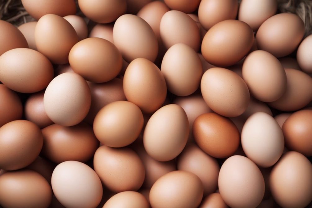 Почему дорожают яйца в России и сколько они стоят в разных странах мира
