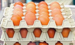 Золотая яишенка: в России взвинтили цены на яйца. ФАС в деле