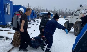 «Он же его съест!» В Якутии разъярённый медведь изувечил двух газовщиков
