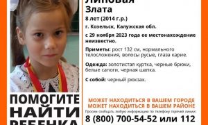 Похищенная в Калужской области 8-летняя Злата найдена живой
